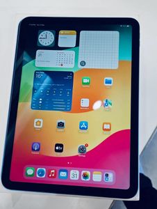 Blue Apple iPad