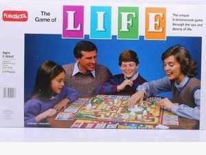 Original Funskool Game Of Life