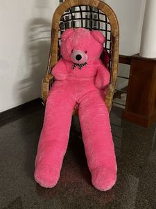 Pink Plush Teddy Bear
