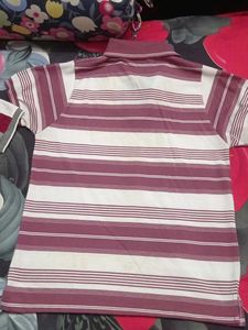 Combo Of Tshirt For Men
