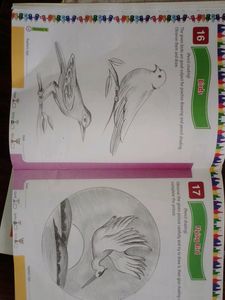 Drawing Book From You Can Learn How To Draw