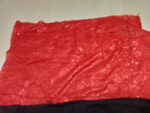 Party Wear Black&amp; Red Sequence Border Saree