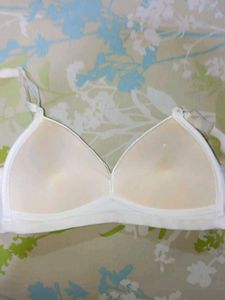 White Everyday Padded Inner