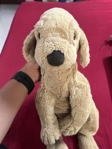 Soft Toy