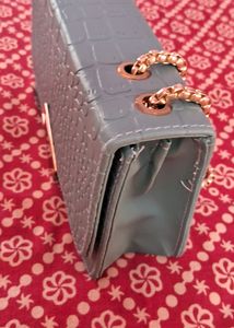 Brand New Sling Bag