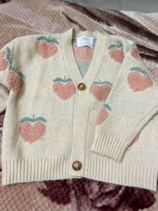 Zara Pinteresty Cardigan