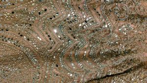 Sparkling Peach Lehenga