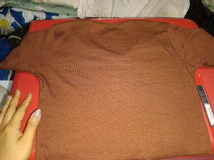 Brown Crop Top