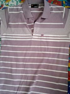 Giffini T Shirts Size 95cm