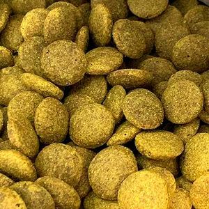 Adult Dog Food