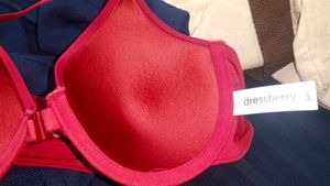 Beautiful Red Front Clasp Bra
