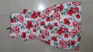 Floral Print Dress