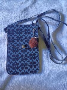 Coach Crossbody Pouch