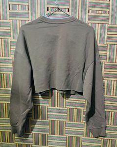 Brown Cropped Sweatshirt