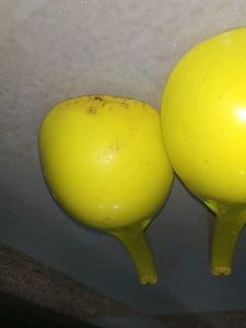 Kitchen Needs