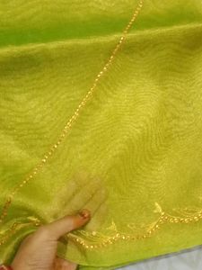 Lite Green Heavy Work Saree