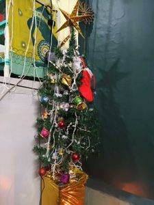 Christmas tree and decoration