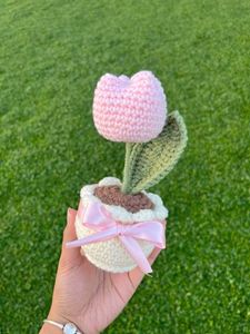 Tulip Pot