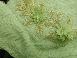 Elegant Embroidered scarf or dupatta