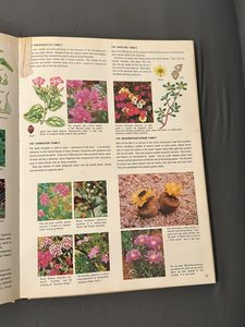 Children&#39;s Treasury of Knowledge Set