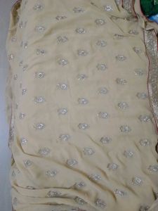 Elegant Embellished Saree