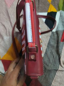 Charles And Keith Slingbag