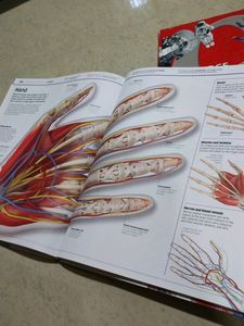 Human Body Book 📚