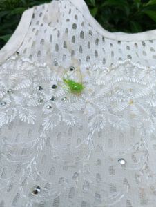 Baby Girl&#39;s 2 Frocks