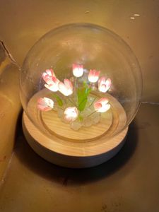 Beautiful Night Lamp