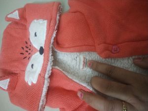 Beautiful Fox Winter Jacket