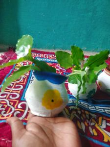 Hand-Painted Plant Pot 🤍💚❤️🌺🌹🌼