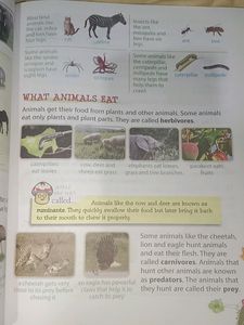 Environmental Education