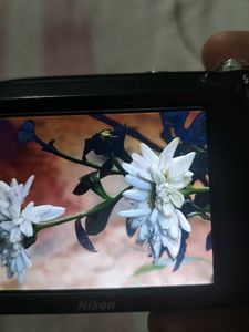 Nikon Coolpix A100