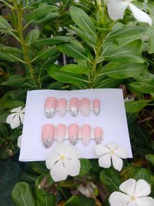 Press-On Nail Set