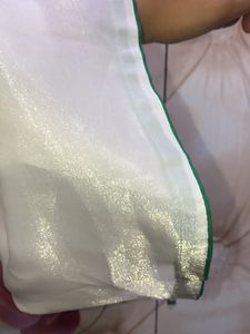 Kashmiri Kurta Plazzo🟢