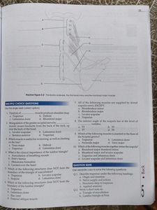Human Anatomy Textbook with free workbook