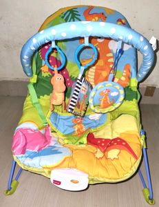 Baby Bouncer