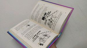 Diary Of A Wimpy Kid - The Meltdown