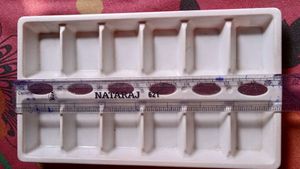 Ice Tray for Freezer-12  Section