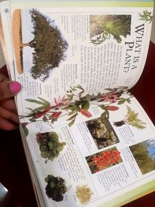 Big Book Of Knowledge