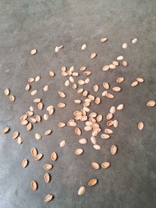 Pistachios Shells 110 Pieces