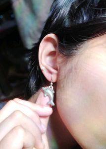 Dolphin Earrings
