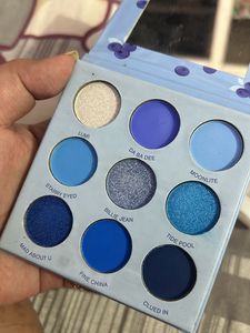 Sfr Color Blueberry Eyeshadow Palette
