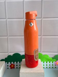 Dual Shade Insulated Bottle