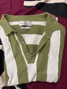 Striped White Nd Green Polo Tshirt