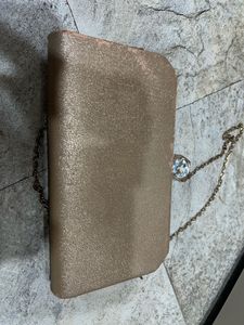 Elegant Evening Clutch