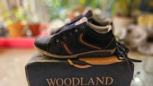 Woodland Casual Shoes