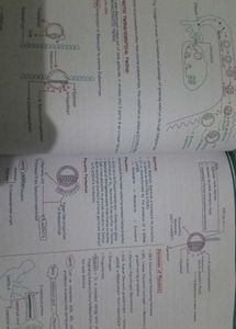 Medeasy All Subjects For Neet
