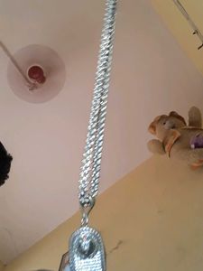 Chain And Tiger Locket