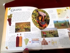 Big Book Of Knowledge